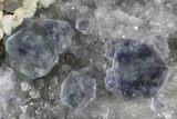 Blue Fluorite On Quartz - Fujian Province, China #31558-3